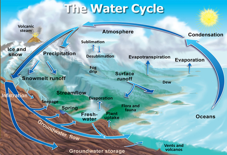 the water cycle