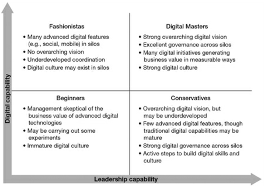 digital capability