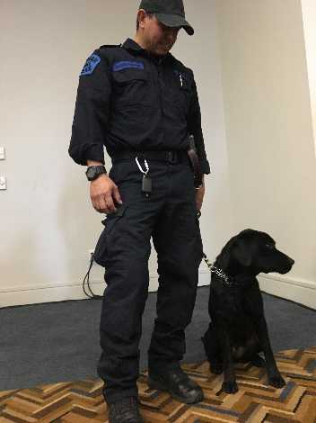 security dog