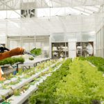 cybersecurity food industry