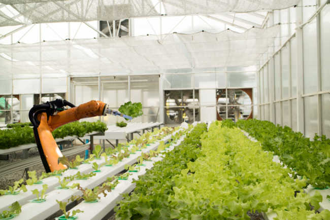 cybersecurity food industry