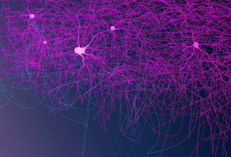 Neural Networks