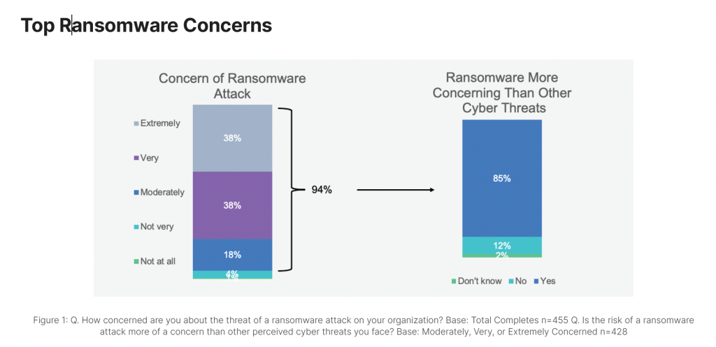 The 2021 Ransomware Survey Report