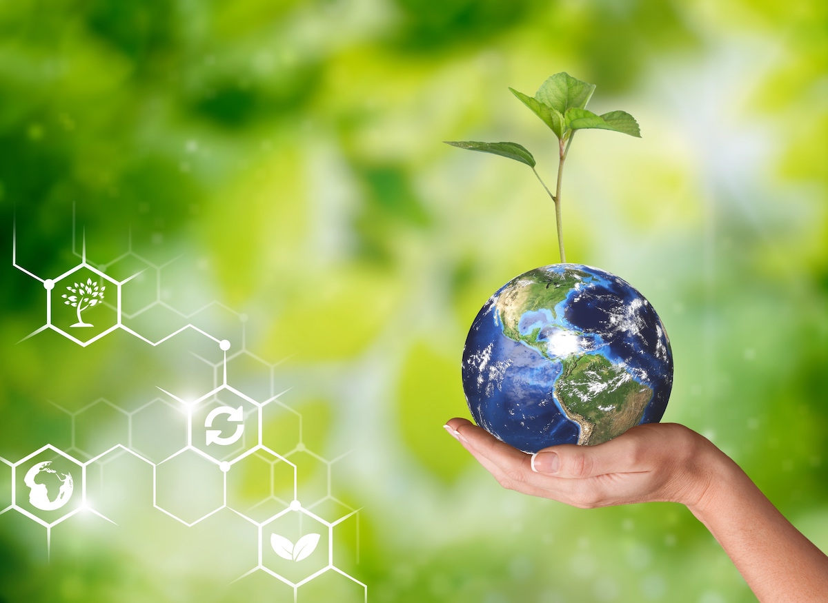sustainability