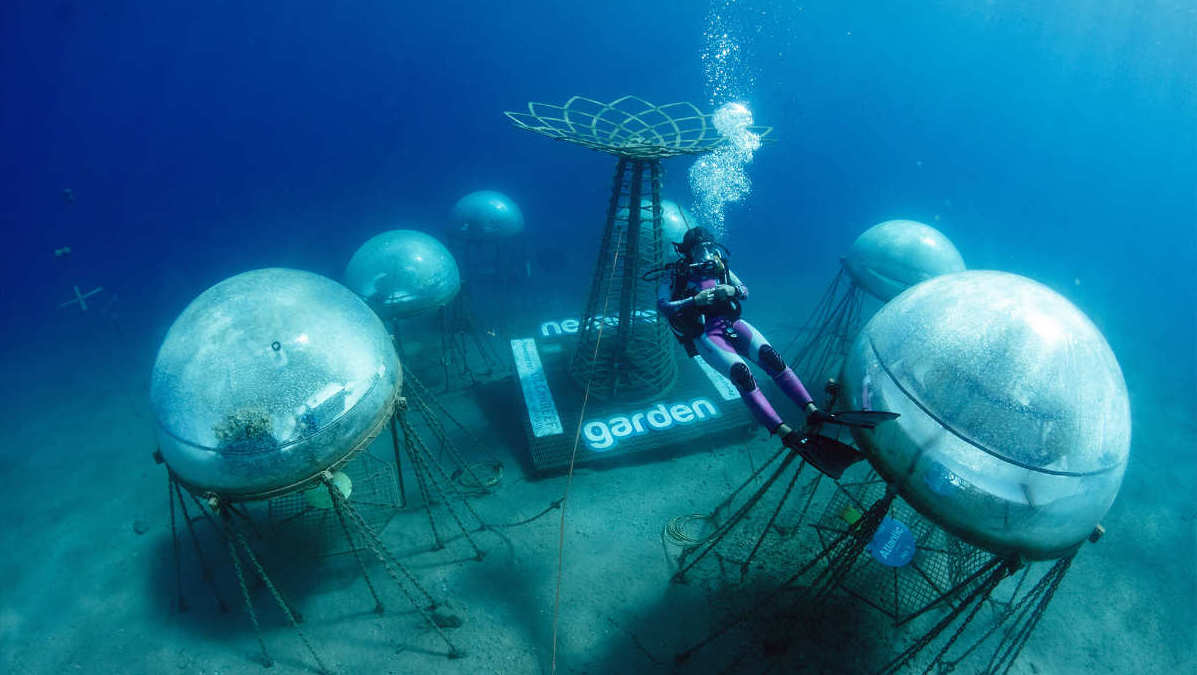 Nemo's Garden