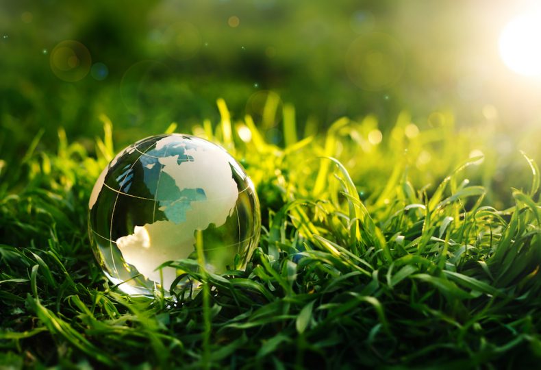 Sustainability