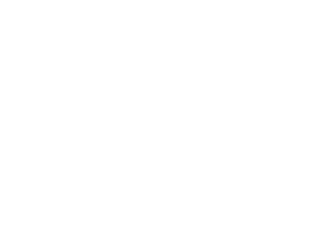 ZF Group