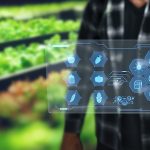 Machine Learning and Data Engineering Applications in Agriculture