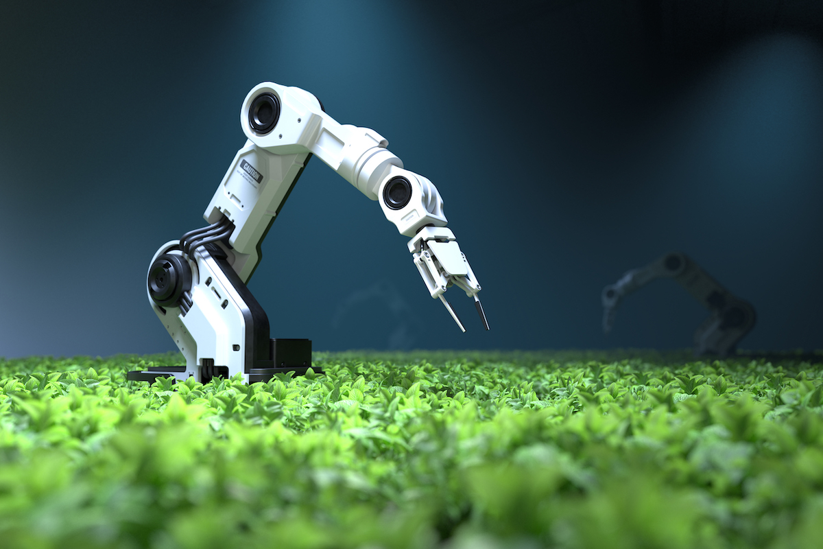 Machine Learning in agriculture