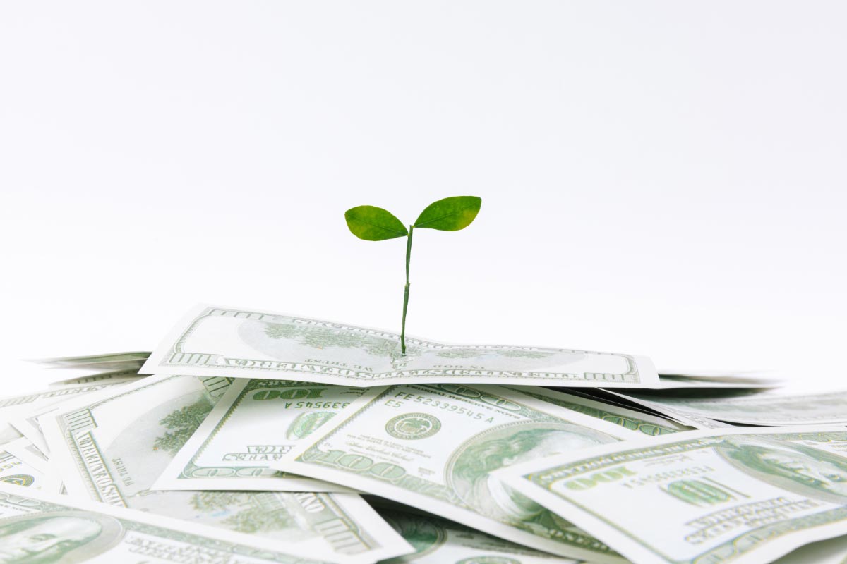 Investment