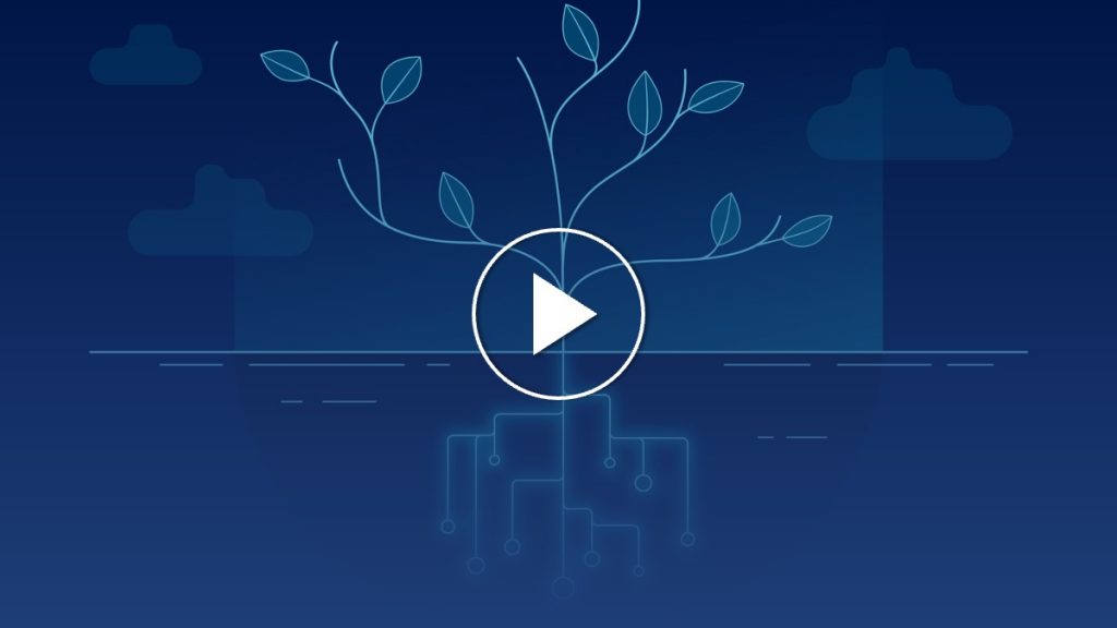 Green at the Core: How Sustainability Is Becoming the New Competitive Edge in Business